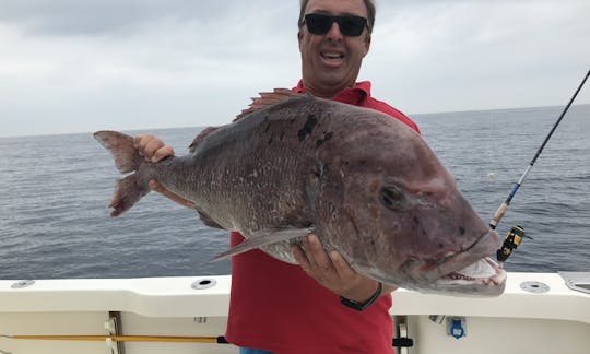 Rodman 1250 R Sport Fisherman Charter en Puerto Banús, Marbella, España