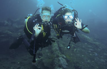 Discover Scuba Diving (DSD) - 1 dive