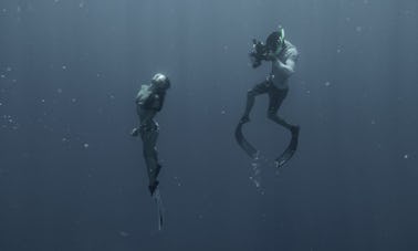 Fotografia e vídeos subaquáticos em Isla Mujeres, Quintana Roo