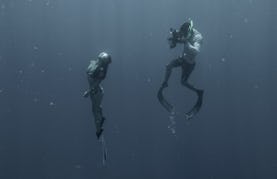 Underwater Photography & Videos in Isla Mujeres, Quintana Roo