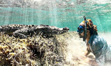 Buceo en apnea con cocodrilos en Isla Mujeres, Quintana Roo