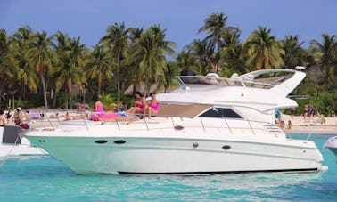 SeaRay 46 Flybridge | Iate privado em Cancún