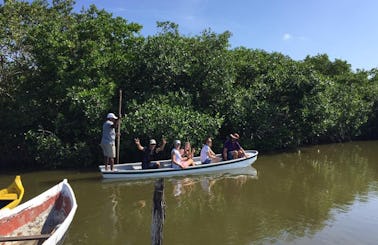 Mangrove Tour in Bolívar, Colombia