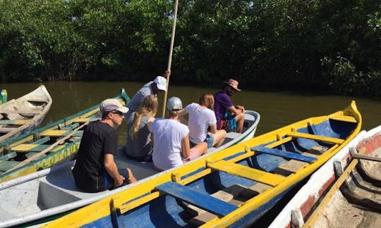 Visite de la mangrove à Bolívar, en Colombie