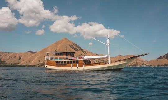 インドネシアのコモド島でのダイブアボードアドベンチャー