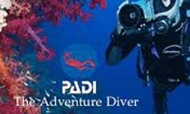 PADI アドベンチャーダイバー