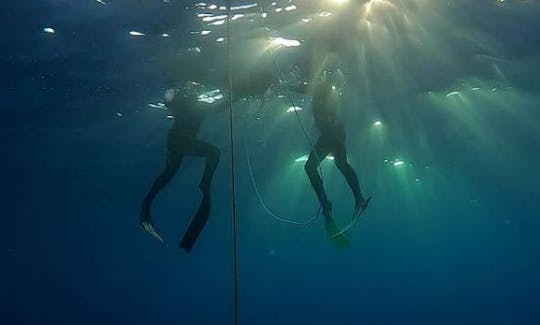 Freediver Course in Port de Pollença, Illes Balears