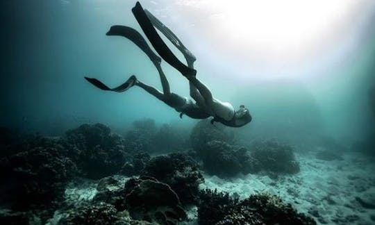 Freediver Course in Port de Pollença, Illes Balears