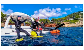 Discover Freediving Course in Port de Pollença, Illes Balears