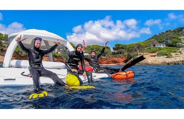 Discover Freediving Course in Port de Pollença, Illes Balears
