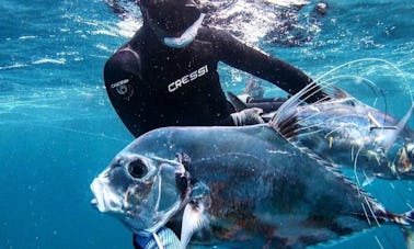 Spearfishing & Freediving Lessons in Fajardo