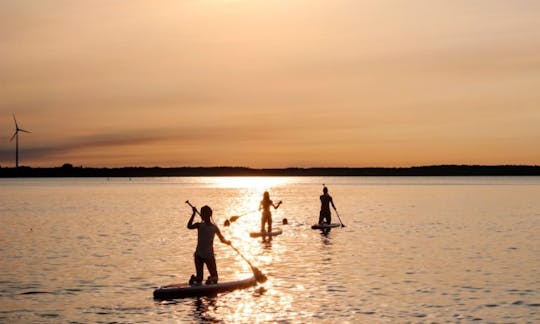 Stand Up Paddleboard Rental in Cartagena, Bolívar