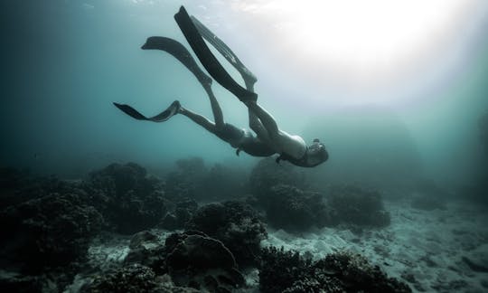 Freediver Course in Port de Pollença