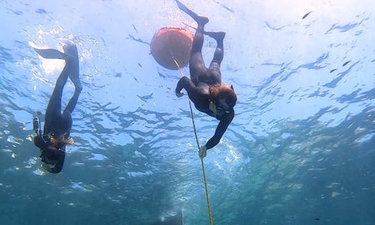 Discover Freediving Course in Cala Sant Vicenç