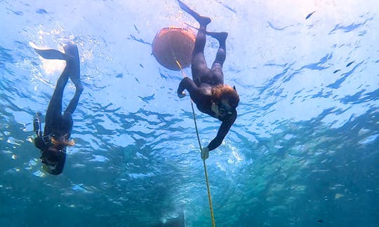 Discover Freediving Course in Cala Sant Vicenç