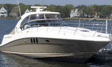 39' Sea Ray Sundancer Motor Yacht for Charter in Chicago, Illinois