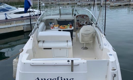1998 Bayliner 24' Powerboat for Charter in Quintana Roo