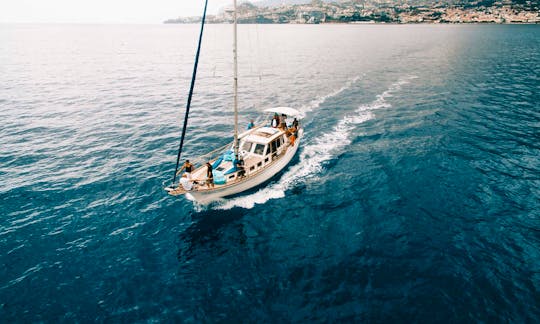 Dolphin and Whale Watching on a Sailing Yacht from Funchal, Madeira