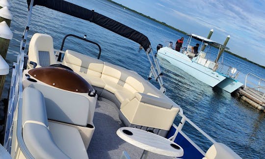 Safari Watch Dolphins and Visit Island In Clearwater Tampa - 22' Pontoon Lexington