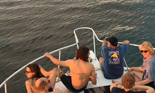 Enjoy a private cruise with your family and friends