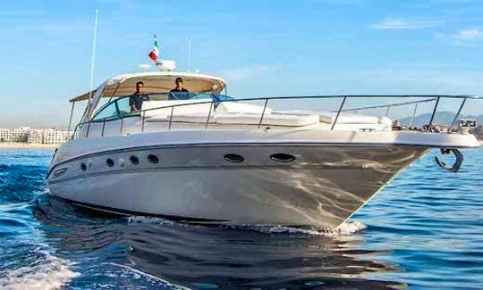 ALL-INCLUSIVE PRIVATE YACHT 55ft SEA RAY CABO SAN LUCAS, MEX.