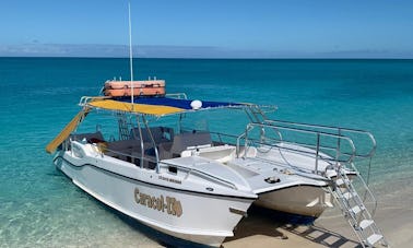 Mergulhe com snorkel ou simplesmente faça um cruzeiro para se divertir em Leeward Settlement