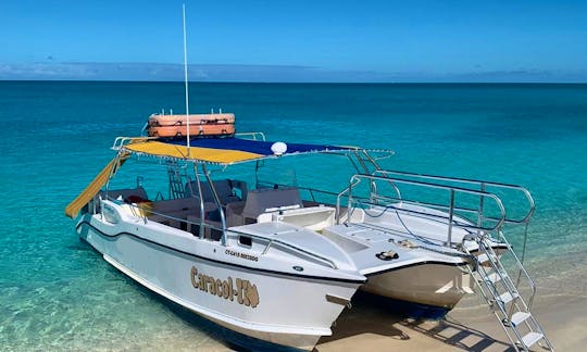 Go Snorkeling or just Cruise for fun in Leeward Settlement