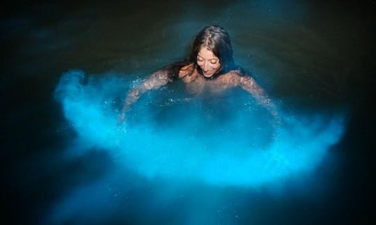 Bioluminescence Swimming in Luminous Lagoon