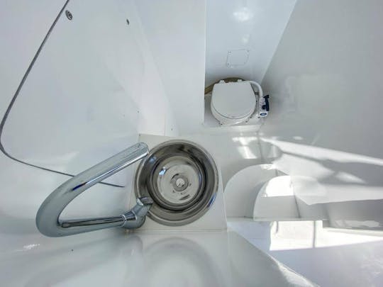 Location de bateau privé Donzi 33" à Cartagena de Indias, Bolivar