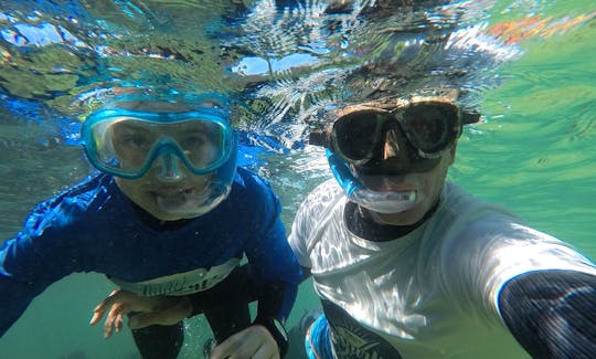 Snorkeling Lesson In Albufeira Sea