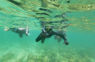 Snorkeling Lesson In Albufeira Sea
