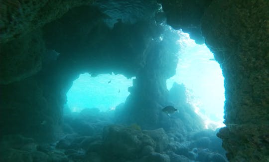 Snorkeling Lesson In Albufeira Sea