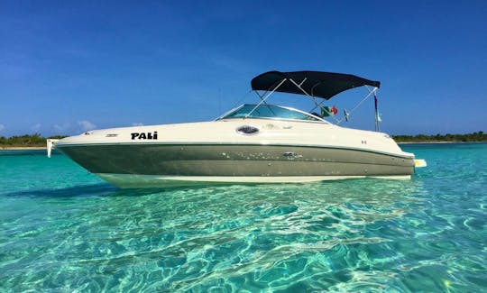 Sea Ray Sundeck 24' Motor Yacht Rental in Cozumel, Quintana Roo