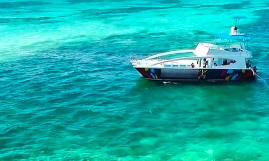 Best Aquatics Tours in Punta Cana!