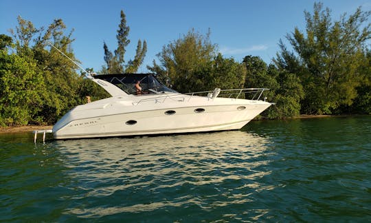 Delightful vessel for sightseeing & sandbar visit.