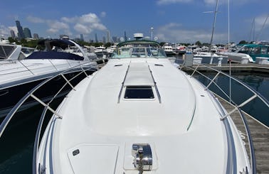 Beautiful Luxury Cruiser 40' Sea Ray Sundancer for Charter in Chicago