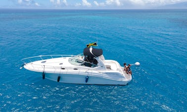 4 Hours/ Private 37' Searay Sundancer with Lunch and Open Bar