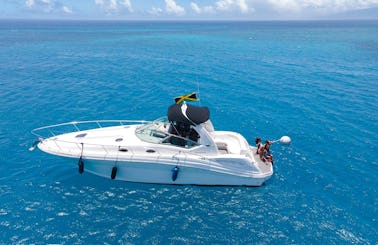 Sail. Escape. Unwind - Book this 37' Searay Sundancer PRIVATE Yacht in Montego Bay