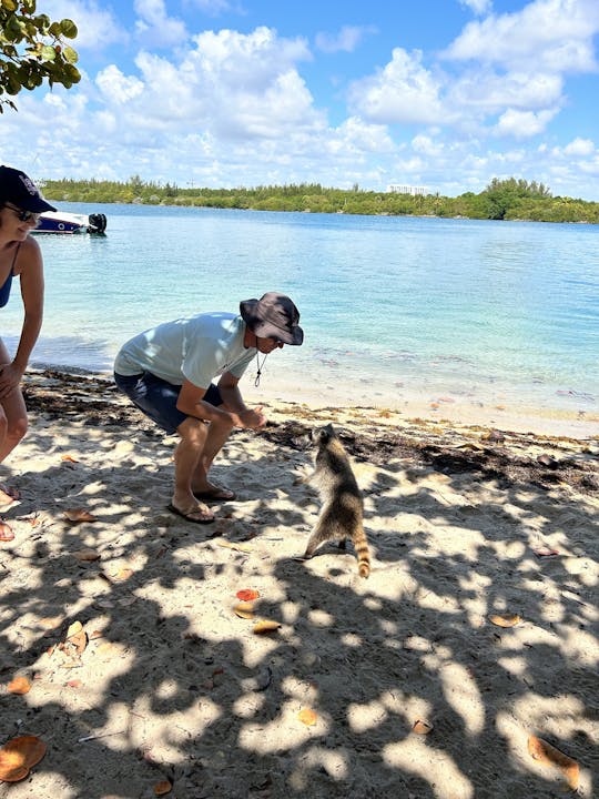 Raccoon Island Boat Tour