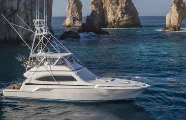 Luxury 71' Bertram Sportfishing Yacht Charter in Cabo San Lucas