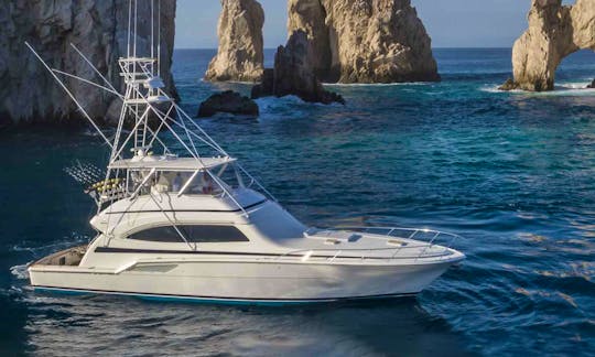 Luxury 71' Bertram Sportfishing Yacht Charter in Cabo San Lucas