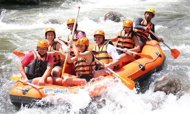 Viagem guiada de rafting de 2 horas no rio Ayung