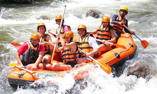 2-Hours Guided Whitewater Rafting Trip on the Ayung River