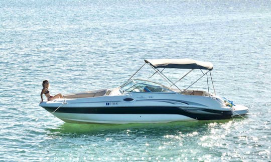 Affordable Sea Ray bowrider for experienced boaters to drive yourself or hire a captain!