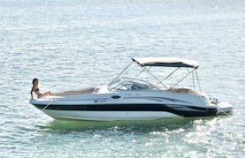 Affordable Sea Ray bowrider for experienced boaters to drive yourself or hire a captain!