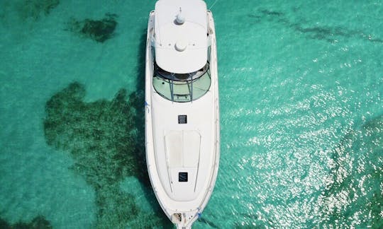 米領バージン諸島、セントトーマス島のシーレイ豪華ボートチャーター（12名様）