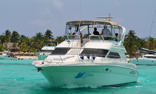 Sea Ray 45' Express Yacht for Charter in Cancun