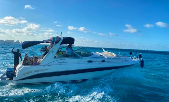 Celebrate Your Party on a 38ft Searay Motor Yacht in Cancún, Quintana Roo