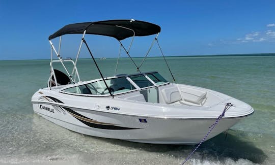 Bimini top