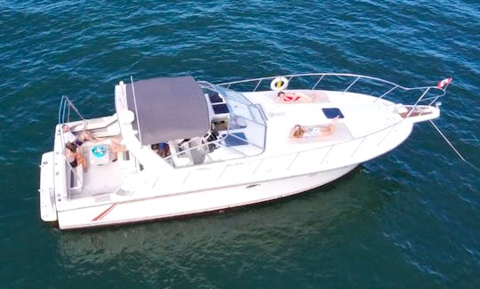 Fully Equipped 38' Bertram Cruiser Yacht Ready for Toronto waterfront cruise.